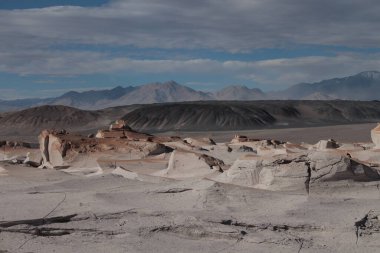 Arjantin 'in kuzeybatısında eşsiz bir sünger taşı tarlası.