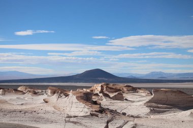 Arjantin 'in kuzeybatısında eşsiz bir sünger taşı tarlası.