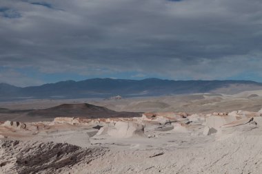 Arjantin 'in kuzeybatısında eşsiz bir sünger taşı tarlası.