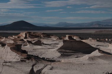 Arjantin 'in kuzeybatısında eşsiz bir sünger taşı tarlası.