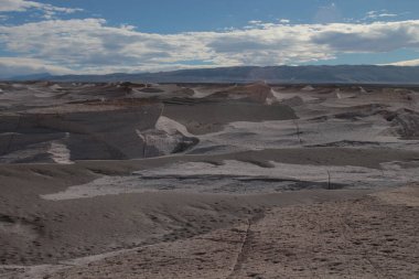 Arjantin 'in kuzeybatısında eşsiz bir sünger taşı tarlası.