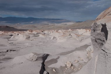 Arjantin 'in kuzeybatısında eşsiz bir sünger taşı tarlası.
