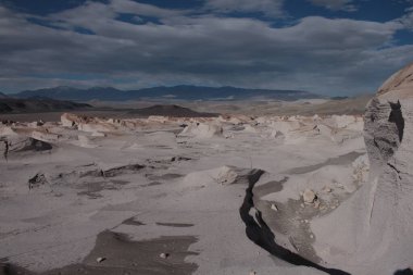 Arjantin 'in kuzeybatısında eşsiz bir sünger taşı tarlası.