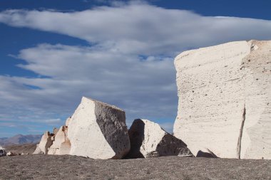 Arjantin 'in kuzeybatısında eşsiz bir sünger taşı tarlası.