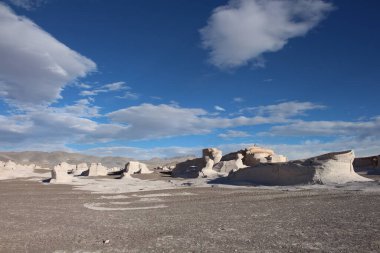 Arjantin 'in kuzeybatısında eşsiz bir sünger taşı tarlası.