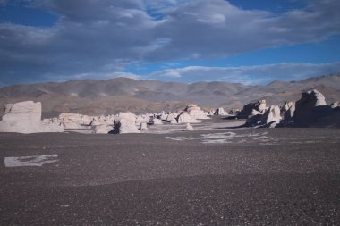 Arjantin 'in kuzeybatısında eşsiz bir sünger taşı tarlası.