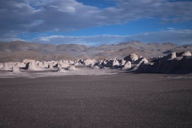 Arjantin 'in kuzeybatısında eşsiz bir sünger taşı tarlası.