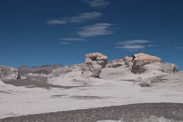 Arjantin 'in kuzeybatısında eşsiz bir sünger taşı tarlası.