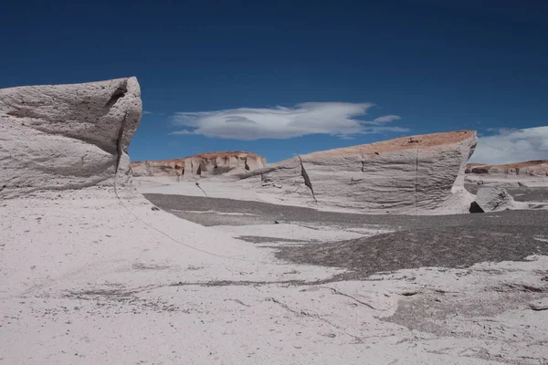 Arjantin 'in kuzeybatısında eşsiz bir sünger taşı tarlası.