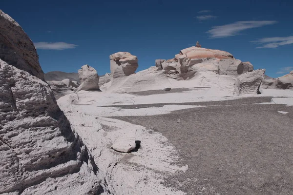 Arjantin 'in kuzeybatısında eşsiz bir sünger taşı tarlası.