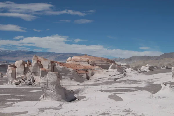 Arjantin 'in kuzeybatısında eşsiz bir sünger taşı tarlası.