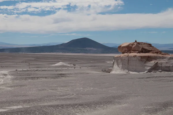 Arjantin 'in kuzeybatısında eşsiz bir sünger taşı tarlası.