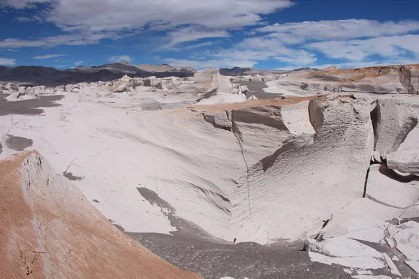 Arjantin 'in kuzeybatısında eşsiz bir sünger taşı tarlası.