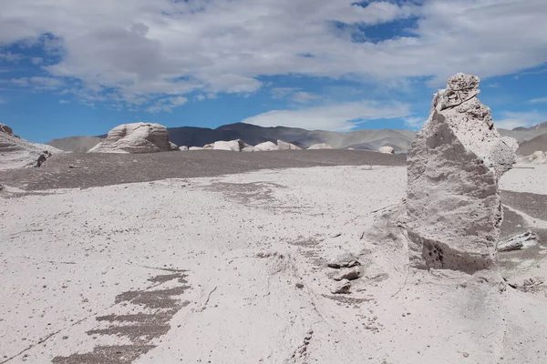 Arjantin 'in kuzeybatısında eşsiz bir sünger taşı tarlası.