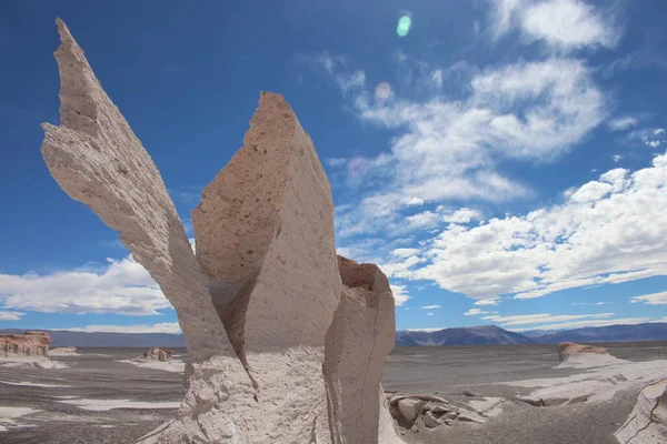 Arjantin 'in kuzeybatısında eşsiz bir sünger taşı tarlası.