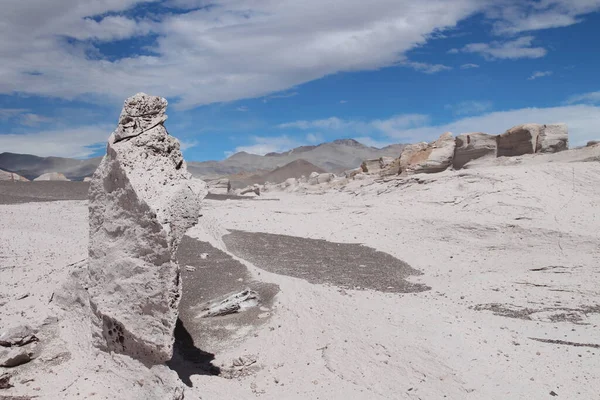 Arjantin 'in kuzeybatısında eşsiz bir sünger taşı tarlası.