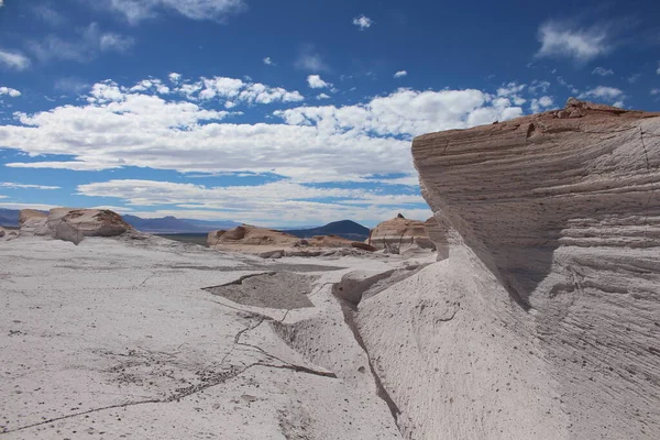 Arjantin 'in kuzeybatısında eşsiz bir sünger taşı tarlası.