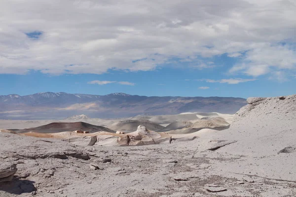 Unique Pumice Field World Northwestern Argentina — Stock Photo, Image