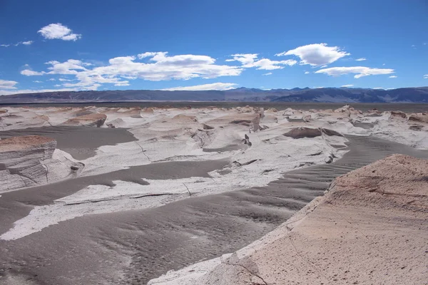 Arjantin 'in kuzeybatısında eşsiz bir sünger taşı tarlası.