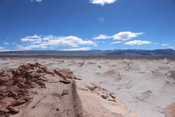 Unique Pumice Field World Northwestern Argentina — ストック写真