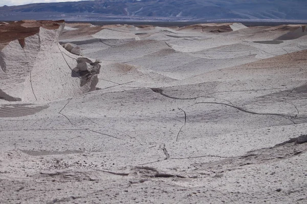 Arjantin 'in kuzeybatısında eşsiz bir sünger taşı tarlası.