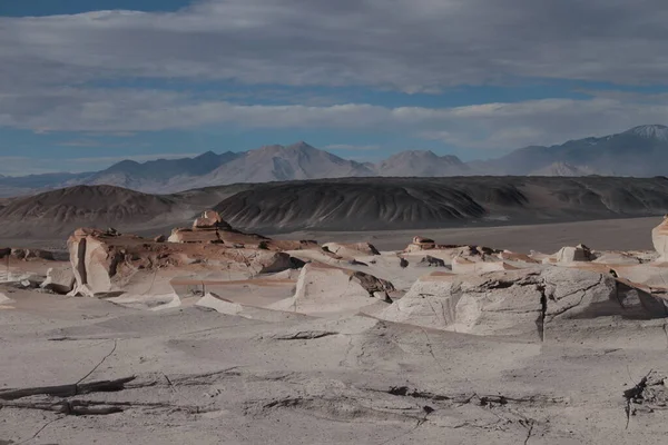 Arjantin 'in kuzeybatısında eşsiz bir sünger taşı tarlası.