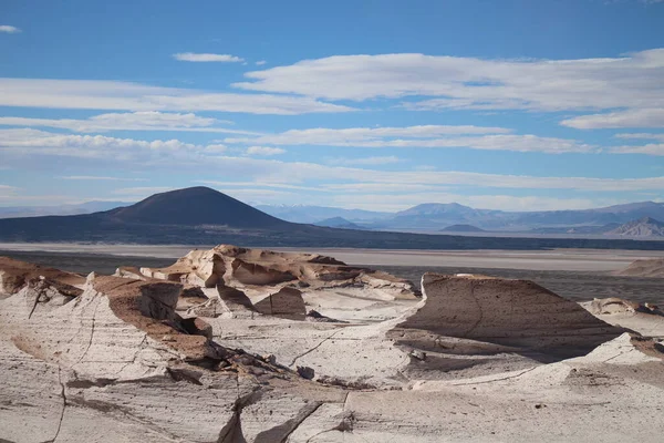 Arjantin 'in kuzeybatısında eşsiz bir sünger taşı tarlası.