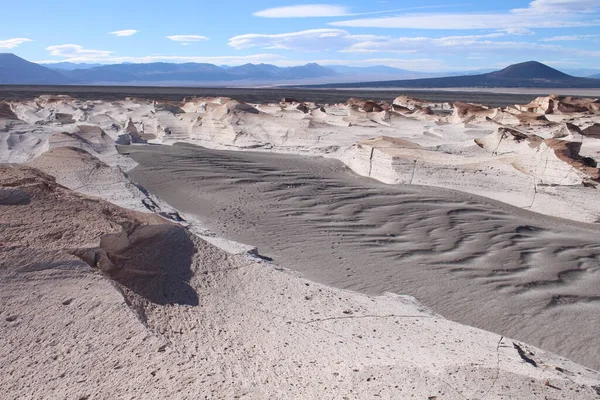 Arjantin 'in kuzeybatısında eşsiz bir sünger taşı tarlası.