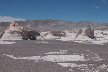 Arjantin 'in kuzeybatısında eşsiz bir sünger taşı tarlası.