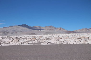 Arjantin 'in kuzeybatısında eşsiz bir sünger taşı tarlası.