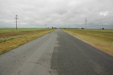 Kuzey Arjantin 'deki altın buğday tarlaları
