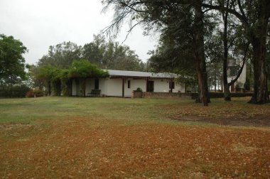 Kuzey Arjantin 'deki altın buğday tarlaları