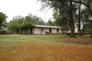 Kuzey Arjantin 'deki altın buğday tarlaları