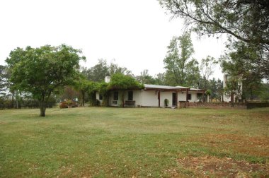 Kuzey Arjantin 'deki altın buğday tarlaları