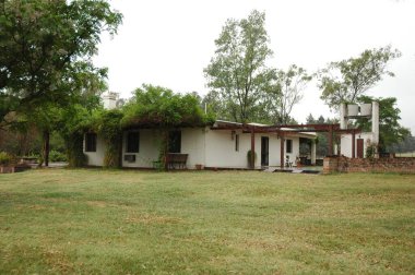 Kuzey Arjantin 'deki altın buğday tarlaları