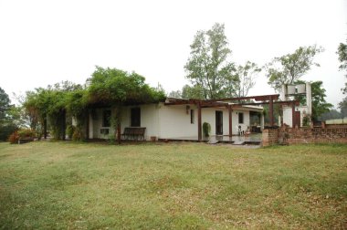 Kuzey Arjantin 'deki altın buğday tarlaları