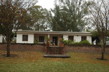 Kuzey Arjantin 'deki altın buğday tarlaları