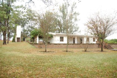 Kuzey Arjantin 'deki altın buğday tarlaları