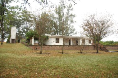 Kuzey Arjantin 'deki altın buğday tarlaları