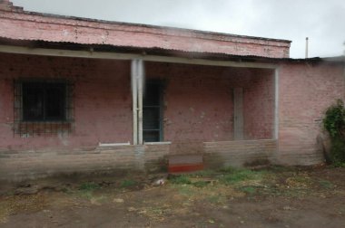 Kuzey Arjantin 'deki altın buğday tarlaları