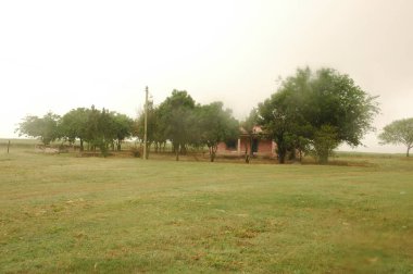 Kuzey Arjantin 'deki altın buğday tarlaları