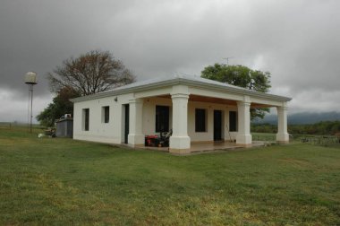 Kuzey Arjantin 'deki altın buğday tarlaları