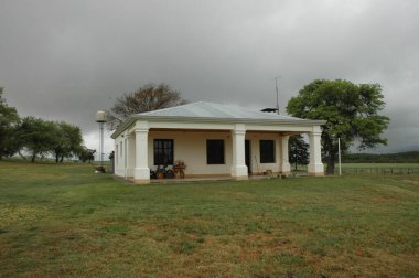 Kuzey Arjantin 'deki altın buğday tarlaları