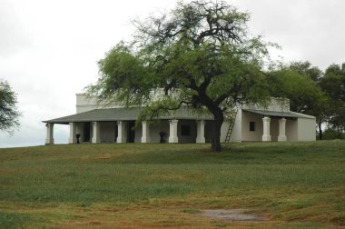 Kuzey Arjantin 'deki altın buğday tarlaları