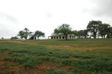 Kuzey Arjantin 'deki altın buğday tarlaları