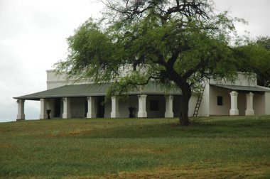 Kuzey Arjantin 'deki altın buğday tarlaları
