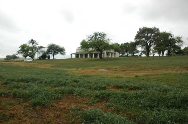 Kuzey Arjantin 'deki altın buğday tarlaları