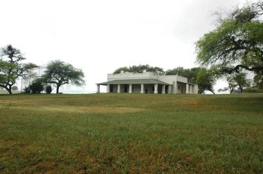 Kuzey Arjantin 'deki altın buğday tarlaları