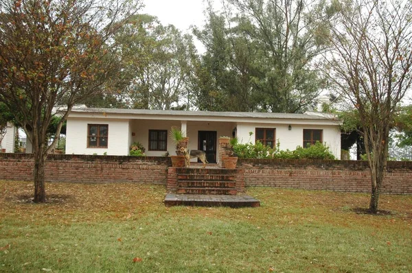 Kuzey Arjantin 'deki altın buğday tarlaları