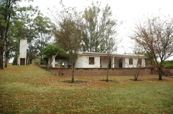 Kuzey Arjantin 'deki altın buğday tarlaları